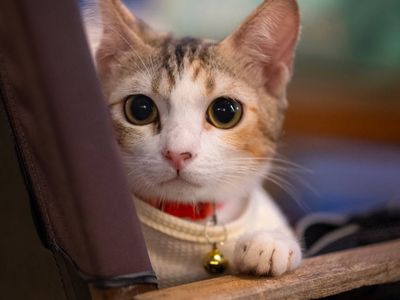 Close up of a sports bottle on a bench